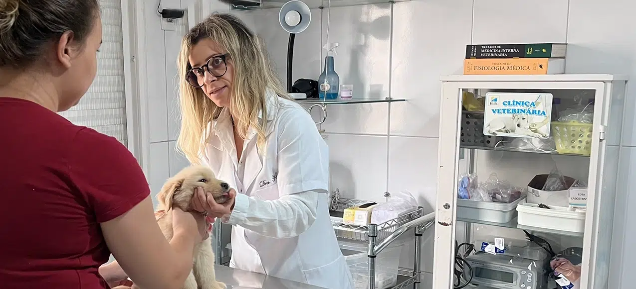 banner artigo: Tudo que você precisa saber sobre consultas veterinárias