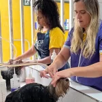 banner artigo: Por que Escolher a By Dog Betim para o banho e tosa?