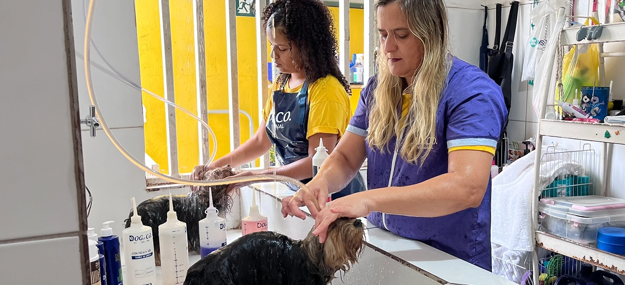 banner artigo: Por que Escolher a By Dog Betim para o banho e tosa?