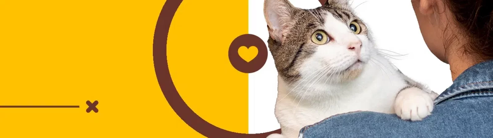 banner Política de Privacidade e Cookies